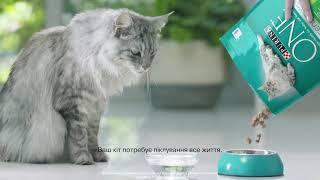 PURINA ONE® Cat - 3 тижні - видимий результат!