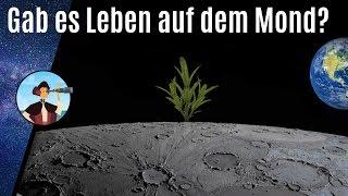 Gab es einst Leben auf dem Mond? | NeugierZone