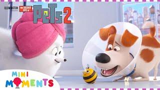 Max Goes To The Vet! | Secret Life of Pets 2 | Extended Preview | Movie Moments | Mini Moments