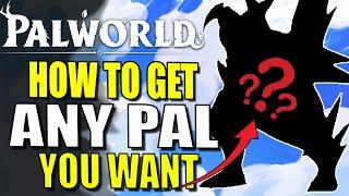 Palworld How To Breed - Get Best Pal Palworld Guide