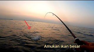 Ga ada ampun ‼️ Sambaran Barakuda bikin pemancing ketagihan || tehnik troling umpan belut sawah