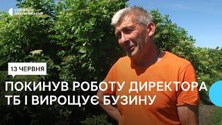 «Коли почав садити бузину та вирощувати її в розсадниках, місцеві дивувалися»