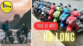 Tổng hợp 8 địa chỉ cho thuê xe máy tại Hạ Long