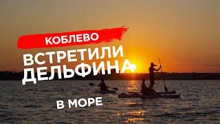 ️Коблево Видео: Дельфин в Черном море возле берега Коблево. Редкие кадры.