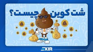 شت کوین Shitcoin چیست؟ بخریم یا نخریم؟