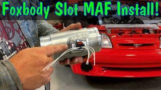 Foxbody Mustang Slot MAF Wiring