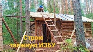 Строительство ТАЁЖНОЙ ИЗБЫ. От первого бревна, до НОВОСЕЛЬЯ. DIY.