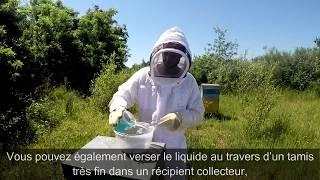 Varroa EasyCheck