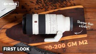 Sony 70-200mm F2.8 GM II - WARNING, it's SHARP!