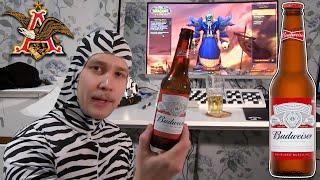 Zebra Drinks Budweiser Beer (Ratebeer Review)