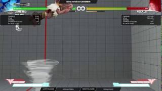 Rashids 502 damage 2 meters with VTrigger