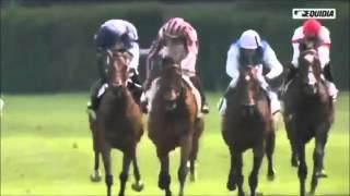 A tribute to Cirrus des Aigles {Light 'em up}