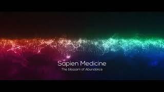 The Blossom of Abundance  (Mind Program Series 3)