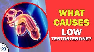 QA: What Causes 𝗟𝗼𝘄 "𝗙𝗿𝗲𝗲 𝗧𝗲𝘀𝘁𝗼𝘀𝘁𝗲𝗿𝗼𝗻𝗲" & High SHBG