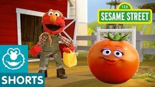 Sesame Street: Tomato | Elmo the Musical