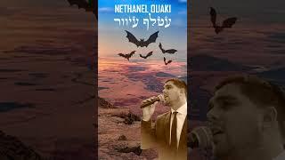 עטלף עיוור-נתנאל אואקי|Atalef Iver-Nethanel Ouaki