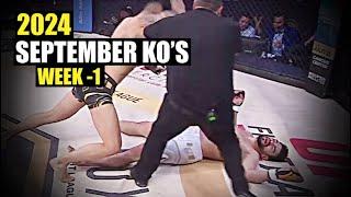 MMA & Boxing Knockouts I September 2024 Week 1