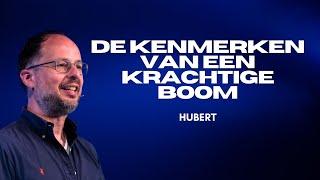 De kenmerken van een krachtige boom | Hubert | GODcentre Utrecht