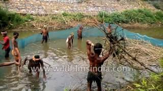 Fishing in rural Odisha : unique method of village fish capture in Orissa