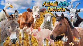 ANIMALI DELLA FATTORIA: Curiosità, caratteristiche - SAPEVI CHE..