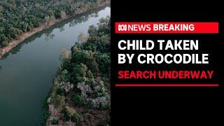 Child missing, reportedly attacked by crocodile in remote NT | ABC News