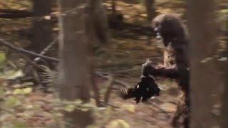 Juvenile Sasquatch stealing chicken ENHANCED VERSION Bigfoot, Sasquatch, Yeti