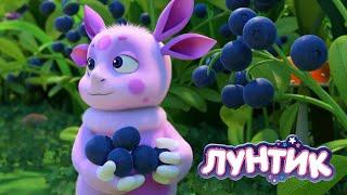 Лунтик | Ягодный сбор  Сборник мультиков для детей