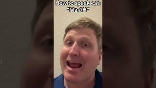 How to Speak Cat: Lesson 1 and 2