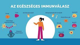 Hogyan működik az immunrendszer? Az immunrendszer és a sclerosis multiplex kapcsolata