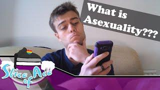 What is Asexuality? | Slice of Ace