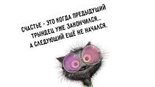 Счастье - это когда предыдущий трындец уже закончился... А следующий ещё не начался.  #анекдоты