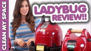 Ladybug Steam Cleaner Review! (Clean My Space)