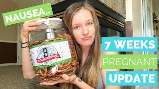 7 Week Pregnancy Update  |  NAUSEA Has Arrived!