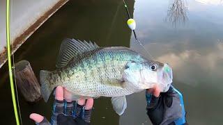 CRAPPIE Fishing With JIG & BOBBER From The BANK‼️ CRAZY Double Jig Rig Action