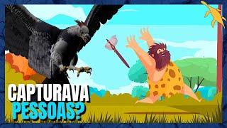 ÁGUIA que CAÇAVA HUMANOS? DINOSSAUROS na LUA? | ZOOMUNDO RESPONDE #18