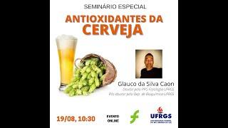 ANTIOXIDANTES DA CERVEJA