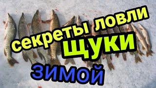 Секреты ловли щуки зимой! Основные правила ловли щуки зимой!