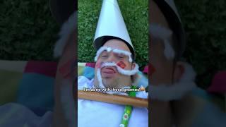 THE GNOMES ARE EVOLVING #gnomes #knights #wizard #downsyndrome #trend