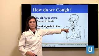 Chronic Cough Treatment for Children | Mindy Ross, MD | UCLAMDChat