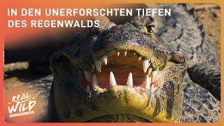 Spezialdoku: In den Tiefen des größten Regenwalds der Welt | Real Wild Deutschland