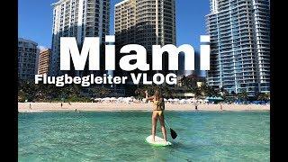 4 Stunden Verspätung + Seekuh in Miami / Flugbegleiter Vlog