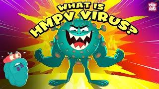 HMPV Outbreak | What is HMPV? | Virus Symptoms, Treatment and Prevention | Human Metapneumovirus