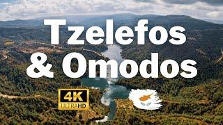 Cyprus from Above: Captivating 4K Drone Views of Tzelefos & Omodos ️