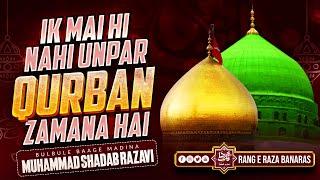 Ek Mai Hi Nahi Unpar Qurban Zamana Hai-Mix Kalaam-Muhammad Shadab Razavi Sahab