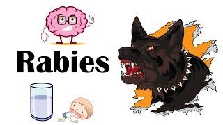 Rabies - Signs & Symptoms |What Are The Signs & Symptoms Of Rabies