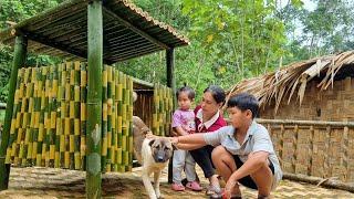 Build a beautiful and simple bamboo dog house