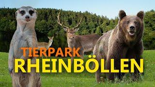 Tierpark Rheinböllen | Zoo-Eindruck