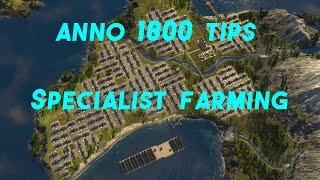 Farming Specialists.  Anno 1800 tips