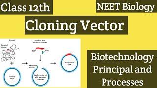 Cloning vector l Class 12th Biology l Biotechnology Principal and Processes l NEET Biology