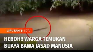 Geger!! Warga Dilaporkan Hilang, Seekor Buaya Muncul Bawa Jasad Manusia | Liputan 6